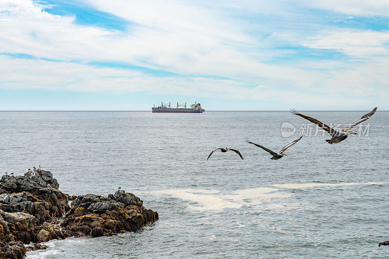 新玛丽娜大道Viña del Mar，智利